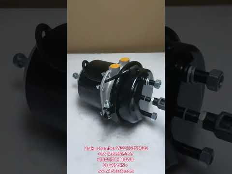 WG7113363005Brake chamber (left, 30/24, push rod length 100)