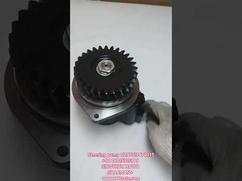 DZ97319470213Steering oil pump assembly (WP12/1.25/s)