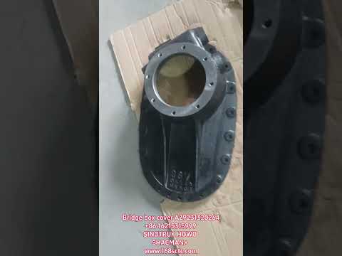 AZ9231320264-SINOTRUK HOWO-bridge box coverHOWO08payment-ZhongQiHouQiaoST16