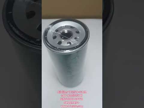 Oil filter 1012010-81DM