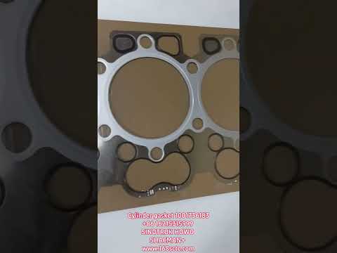Cylinder gasket 1001736183