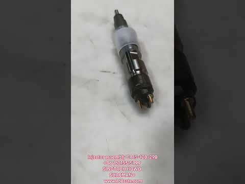Injector assembly 0445-120-290