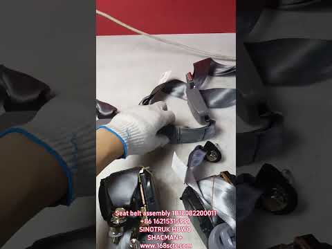 Seat belt assembly 1B18082200011