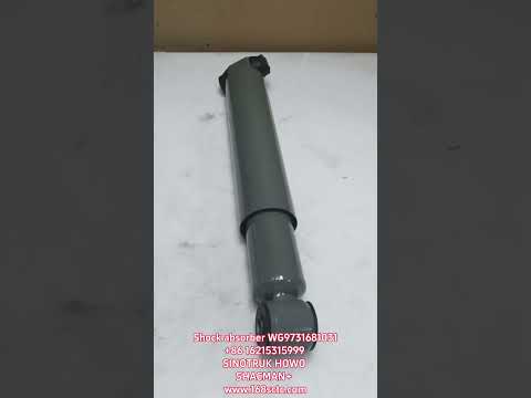 WG9731681031Shock absorber assembly