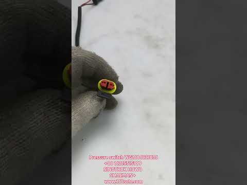 Pressure switch WG1684821036