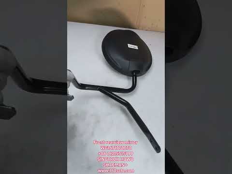 Front lower mirror assembly (H76L)