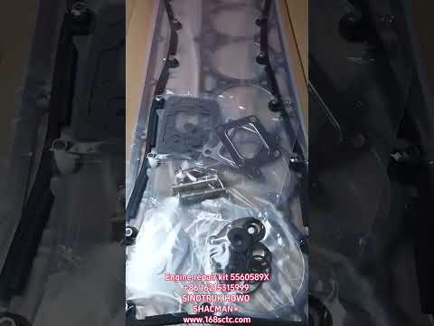 Engine repair kit 5560589X