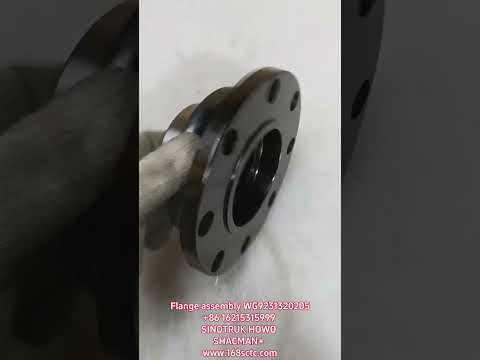 WG9231320205Φ165 output flange assembly
