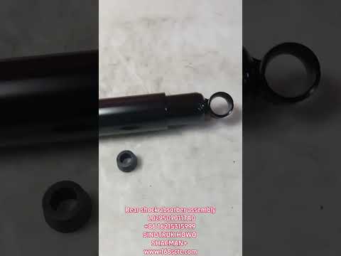 Rear shock absorber assembly L0295090117A0