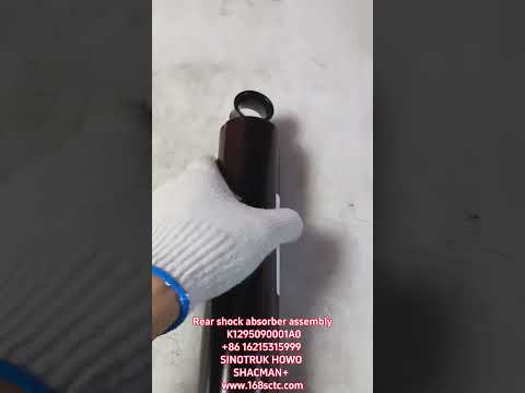 Rear shock absorber assembly K1295090001A0