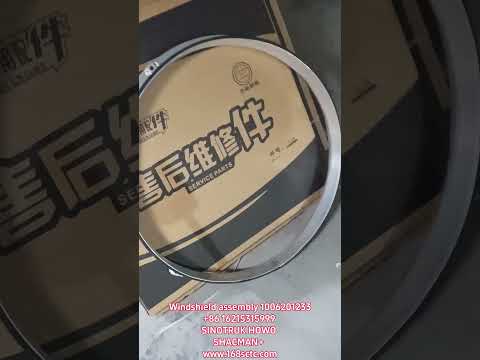 Windshield assembly 1006201233