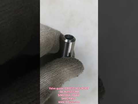 Valve guide 1007032-B01-0000P