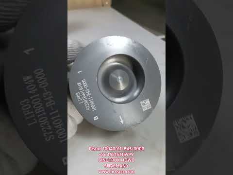 Piston 10040011-B43-0000