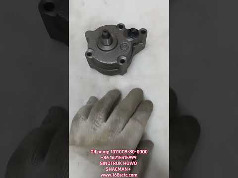 Oil pump 10110CB-80-0000