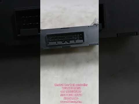 WG1671340052Center door lock control (Deluxe Edition)