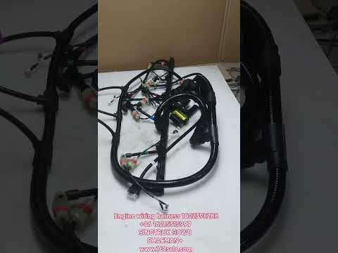 Engine wiring harness 1002398288