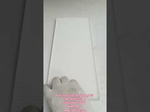 81.61910.0011-SHACMAN-Heater air inlet filterPlastic Packaging-DeLongF2000 2014Kuan