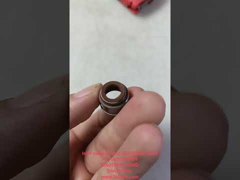 202V04902-0043Intake Valve Seal(MC13-HPD)