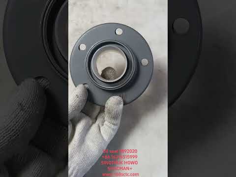 Oil seal 3892020