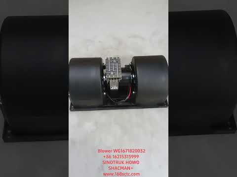 WG1671820032