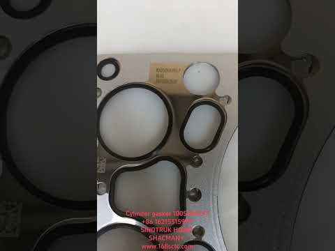Cylinder gasket 1005000997
