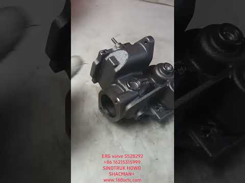ERG valve 5528292
