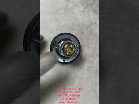 Thermostat 5337966