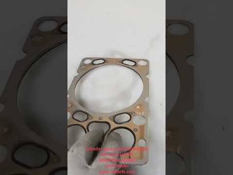 Cylinder gasket 612700040018