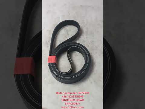 Water pump belt 3972378