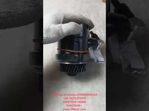 Steering oil pump L034000000353