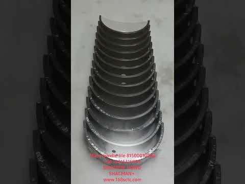 81500010046