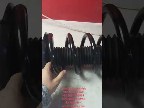 Front strut assembly V1292060100A0