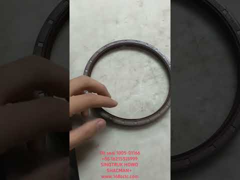 Oil seal 1005-01166