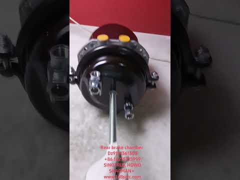 Rear brake chamber Dz9114361303