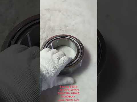 Bearing 33019