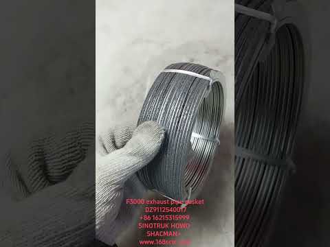 DZ9112540017Gasket