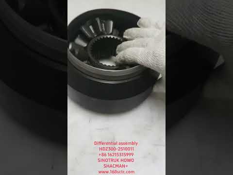 Differential assembly HDZ300-2510011
