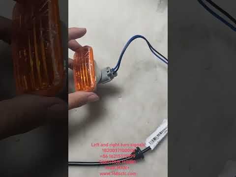 Left and right turn signals 1B20037100008