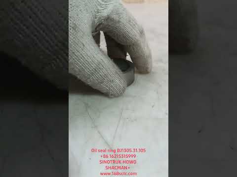 Oil seal ring BJ1305.31.105