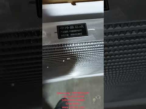 Intercooler 1109300Y4J1Y