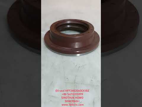 Oil seal HFF2402060CK1BZ